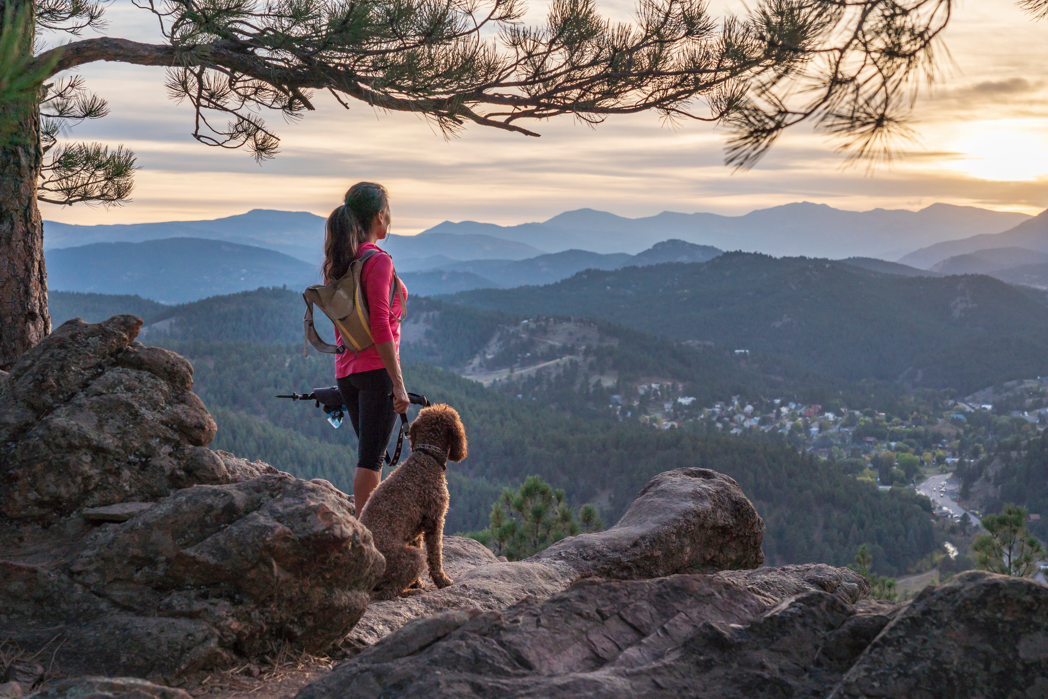 BOULDERBARKS-BLOG-SAFE-HIKING-WITH-YOUR-DOG