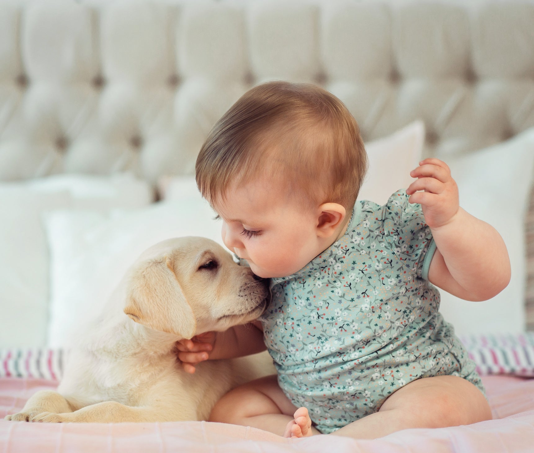 how-to-introduce-your-dog-to-a-new-baby