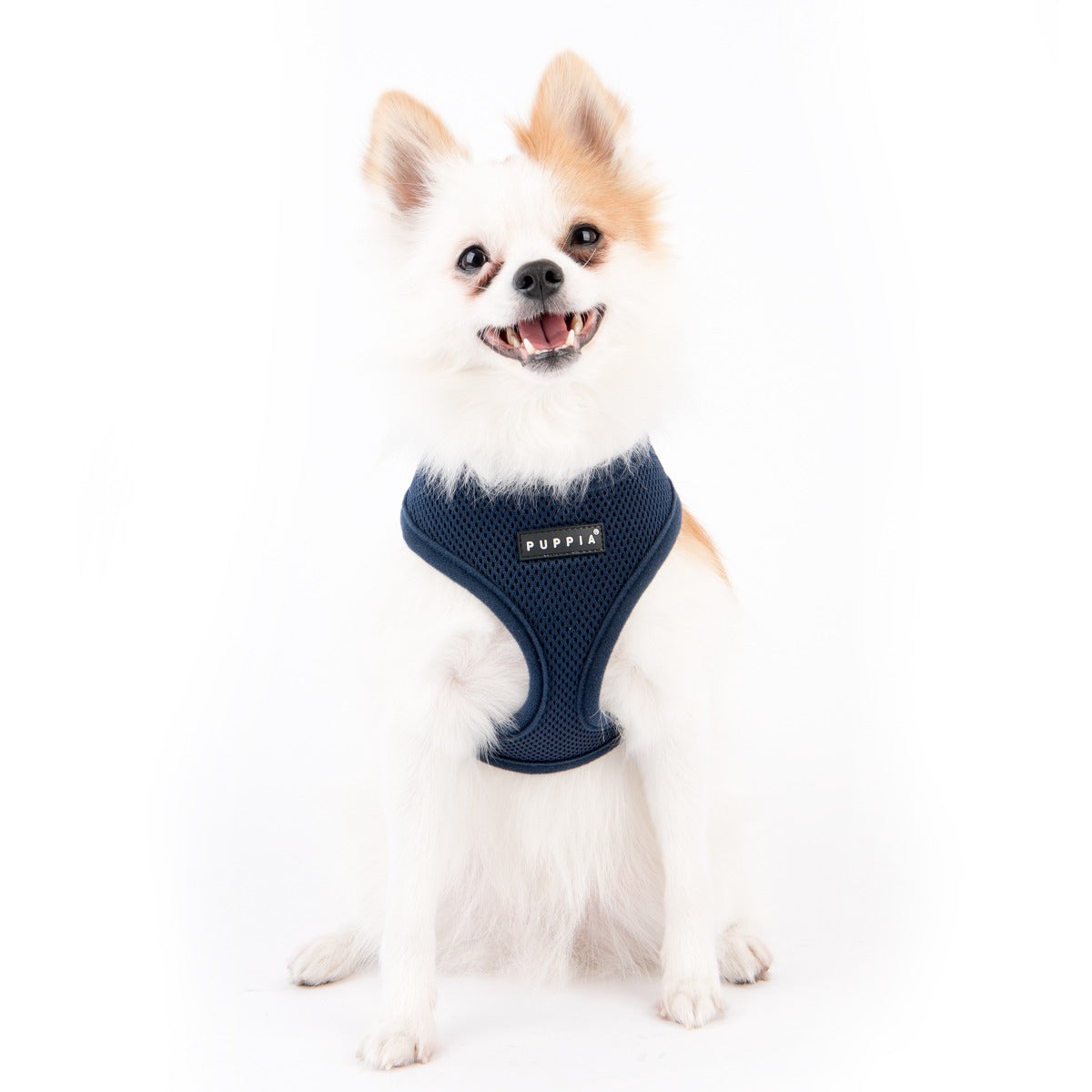 mesh-soft-dog-harness-navy-blue