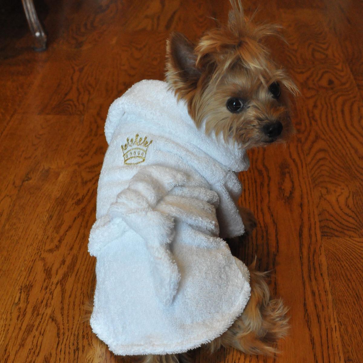 BATHROBE-DOG-SILVER-TIARA