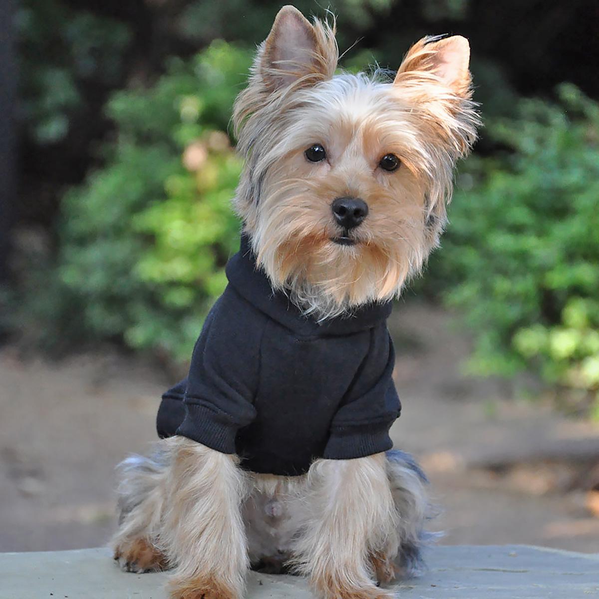 BLACK-FLEX-FIT-HOODIE-DOG-SWEATSHIRT