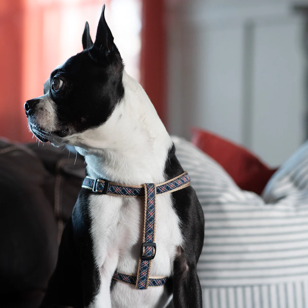 BLACK-TARTAN-PLAID-DOG-HARNESS