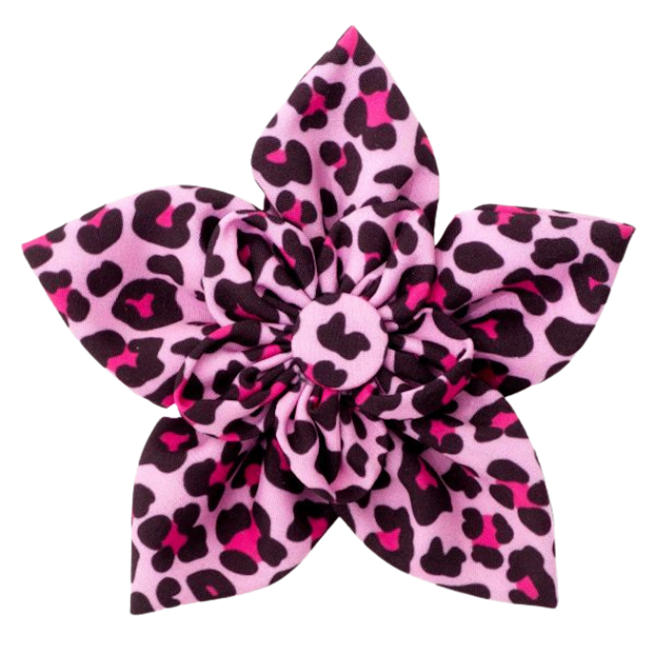 DOG-COLLAR-SLIDER-FLOWER-PINK-LEOPARD-PRINT