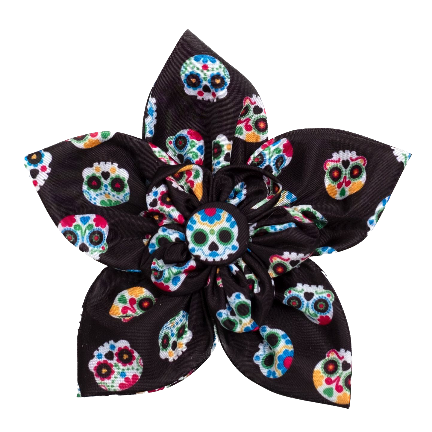 DOG-COLLAR-SLIDER-FLOWER-SUGAR-SKULLS-BLUE-BLACK