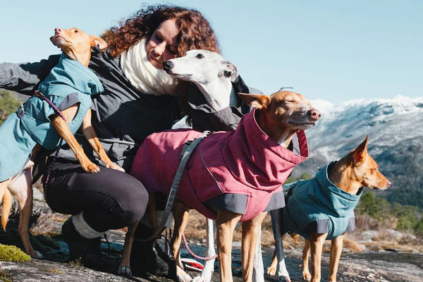 Expedition Parka | Blackberry