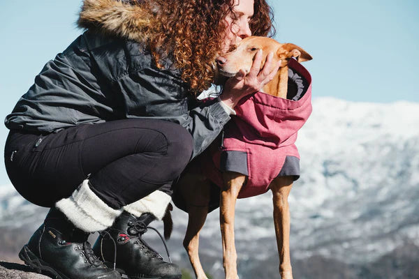 Expedition Parka | Bilberry