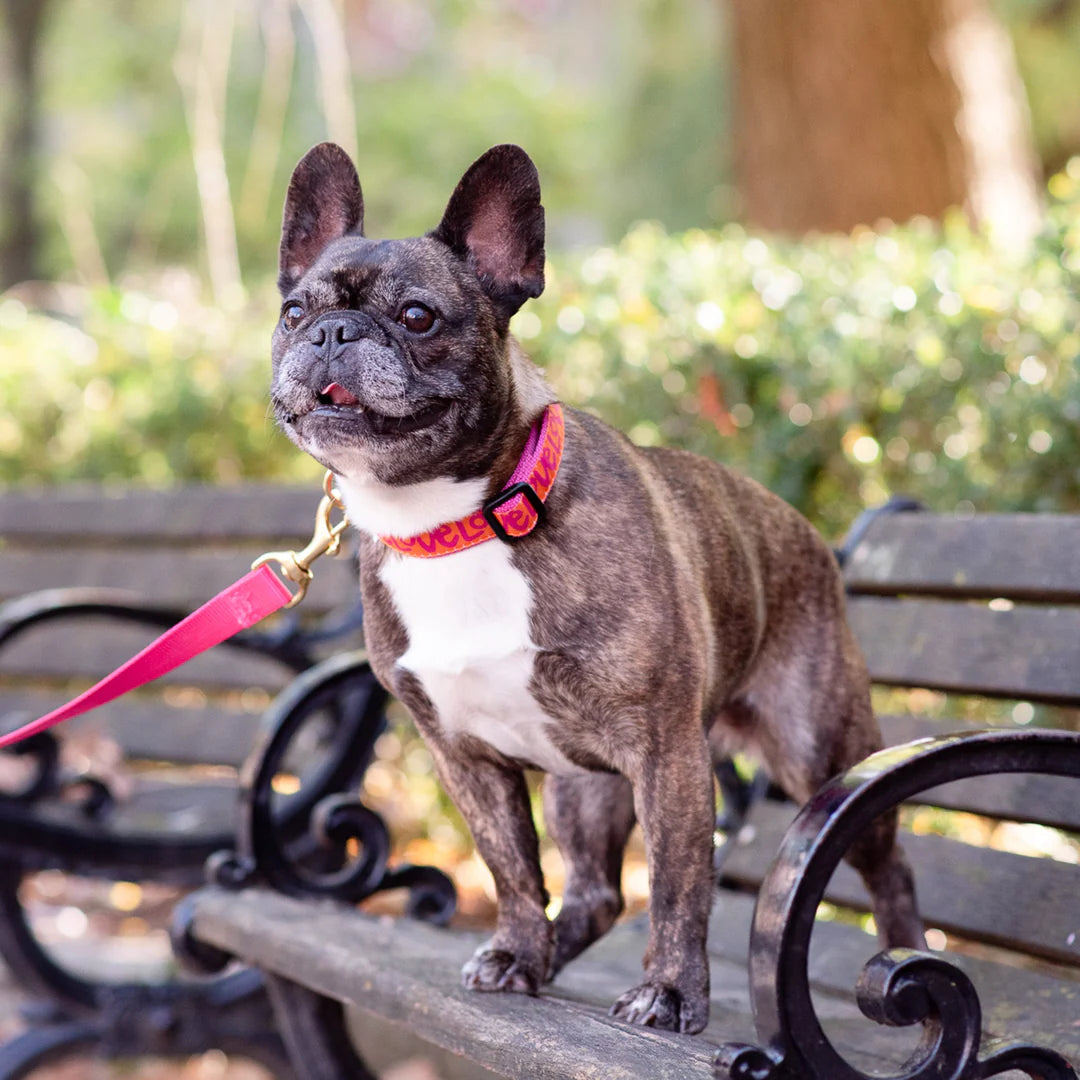 love-dog-leash