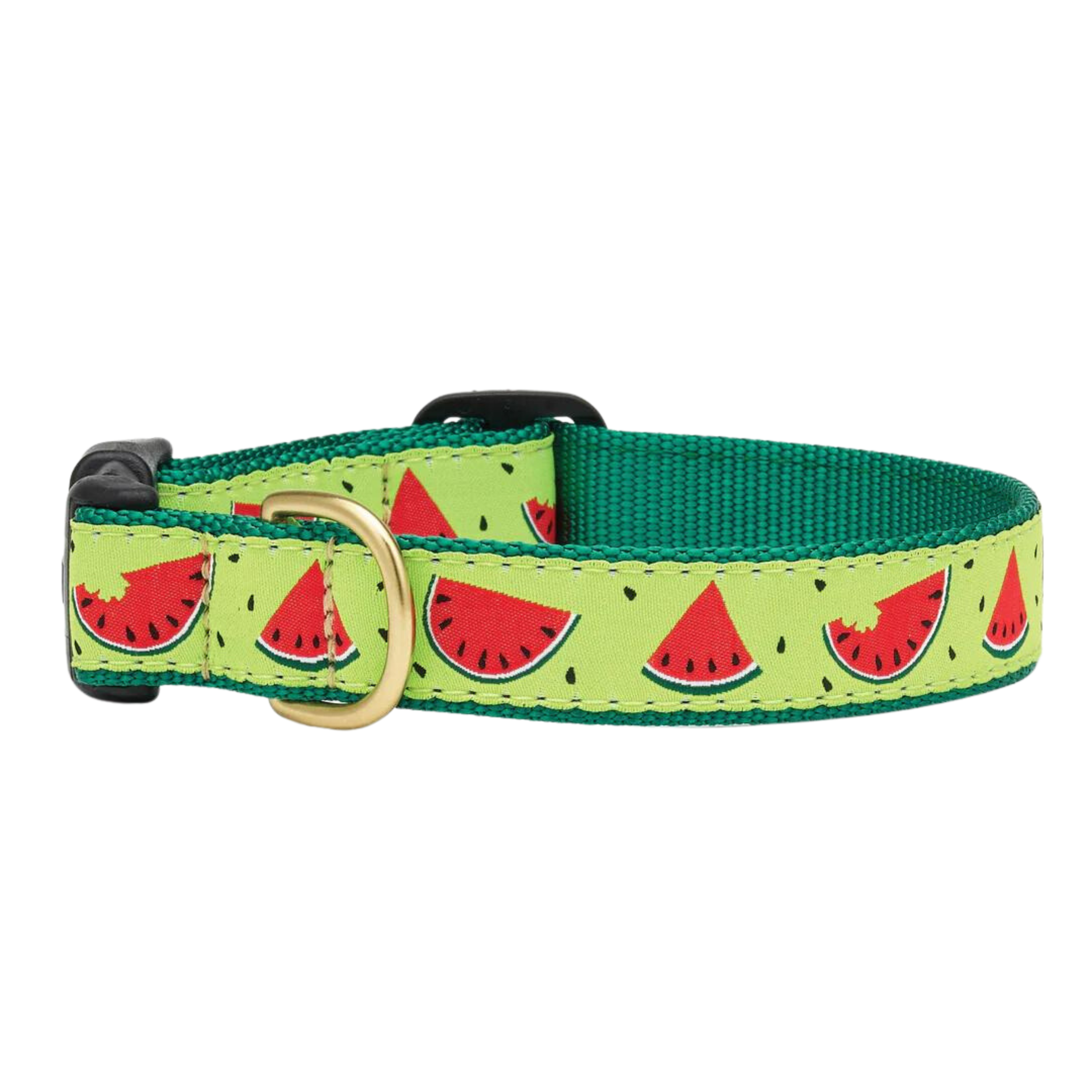 ONE-IN-A-MELON-DOG-COLLAR