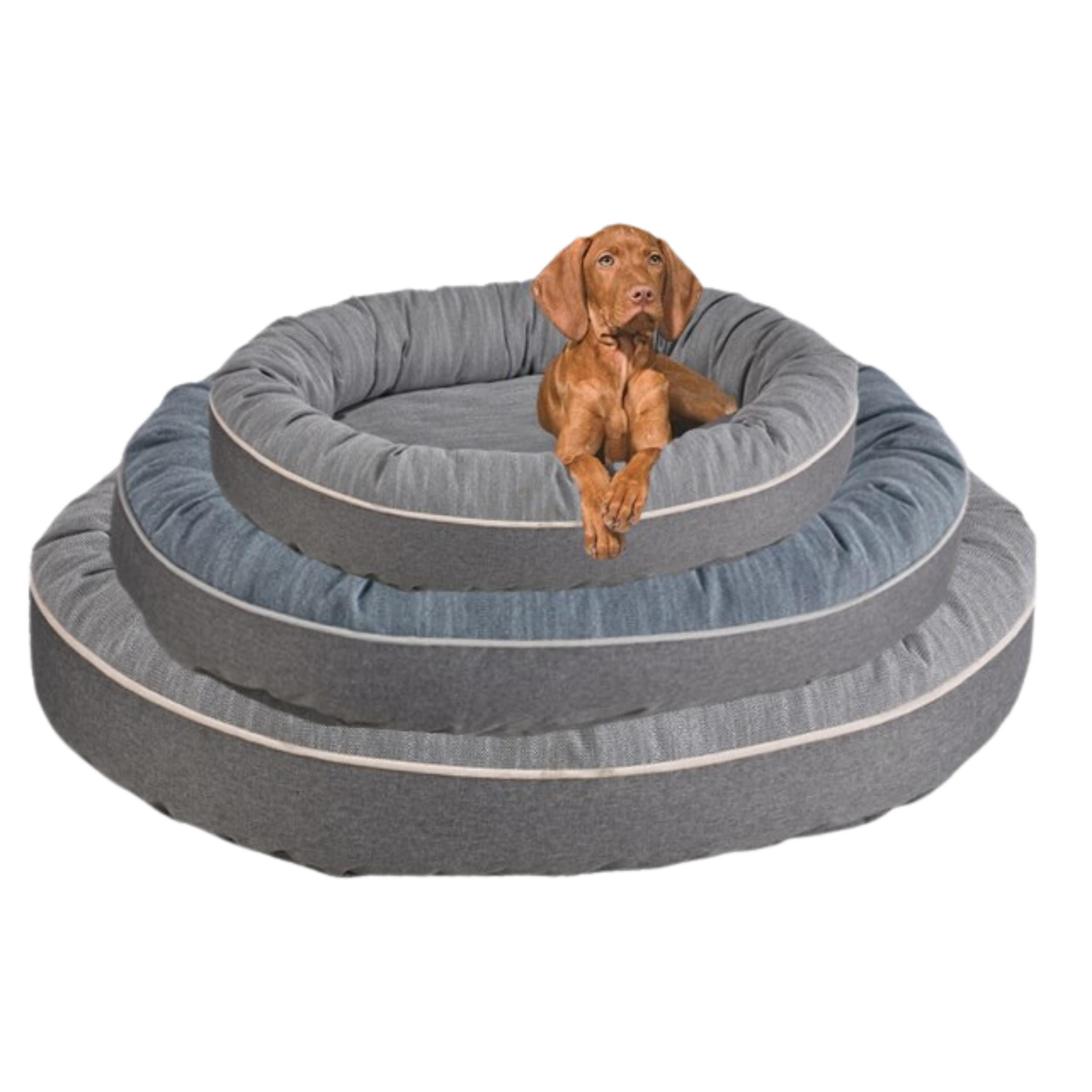 OVIE-DOG-BEDS