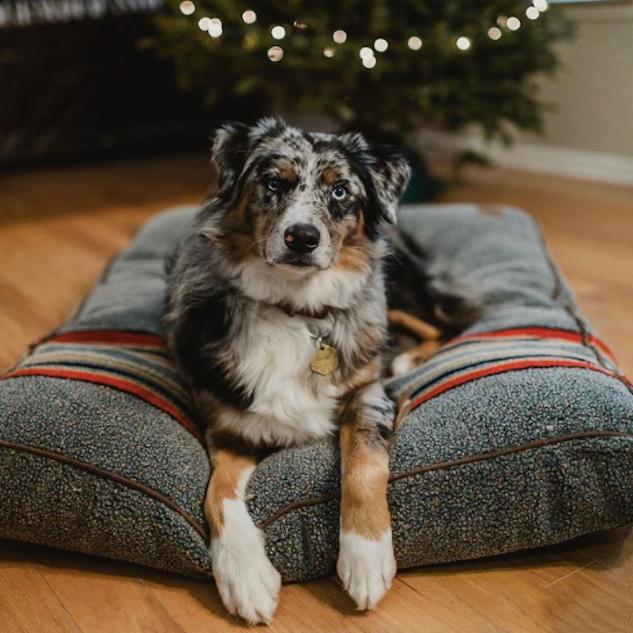 PENDLETON-DOG-BED-VINTAGE-CAMP-HEATHER-GREEN copy