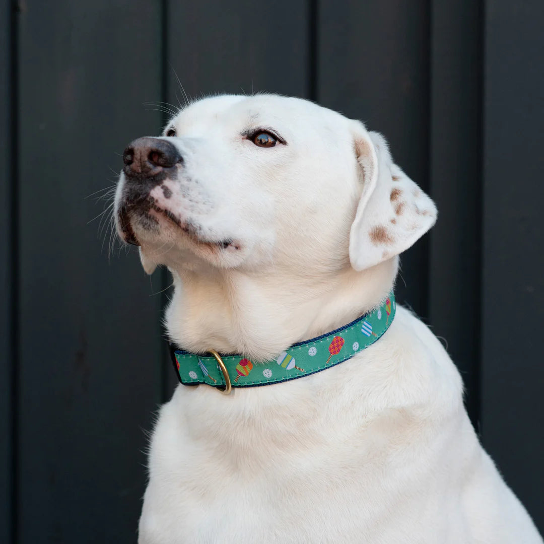 PICKLEBALL-DOG-COLLAR