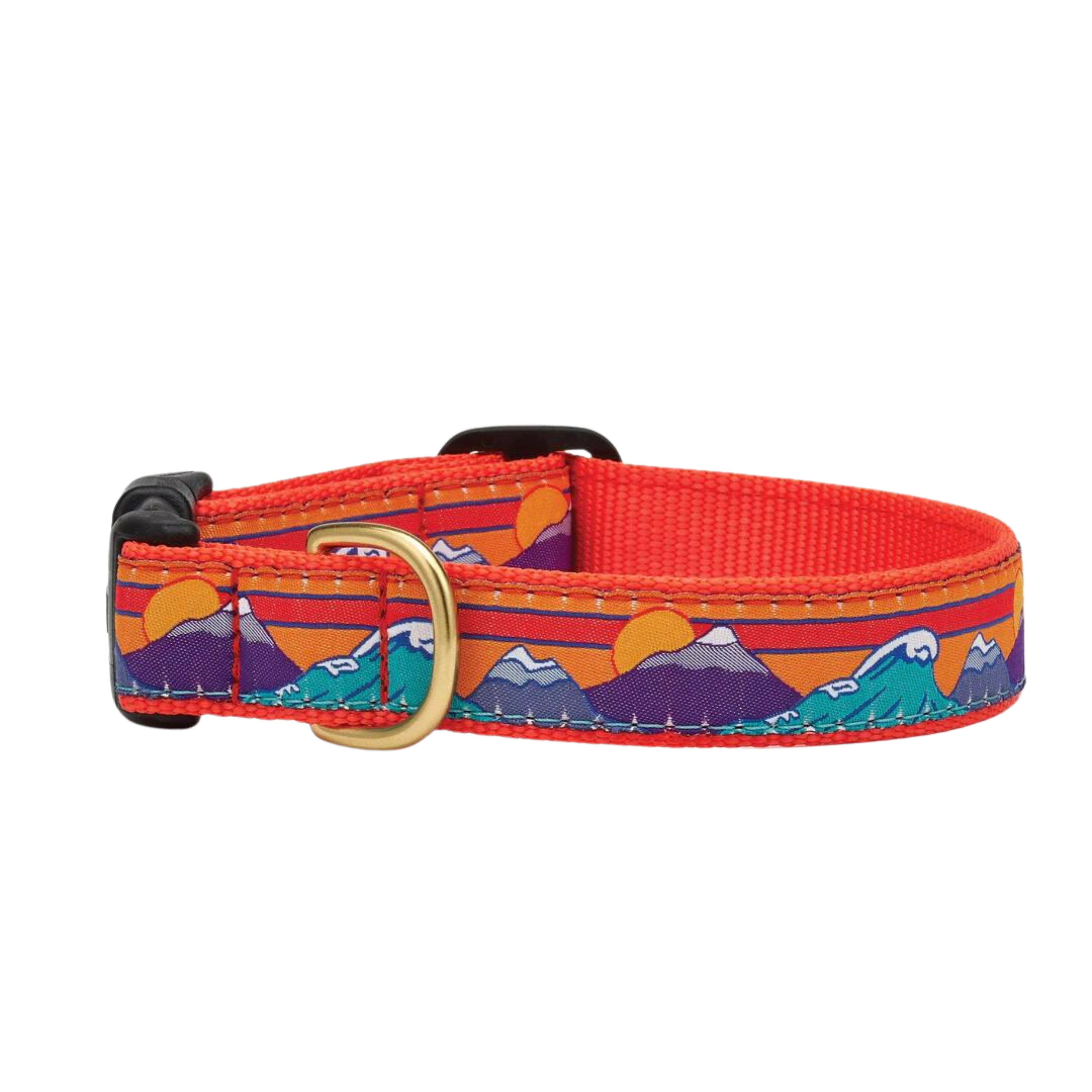 SKI-SURF-DOG-COLLAR