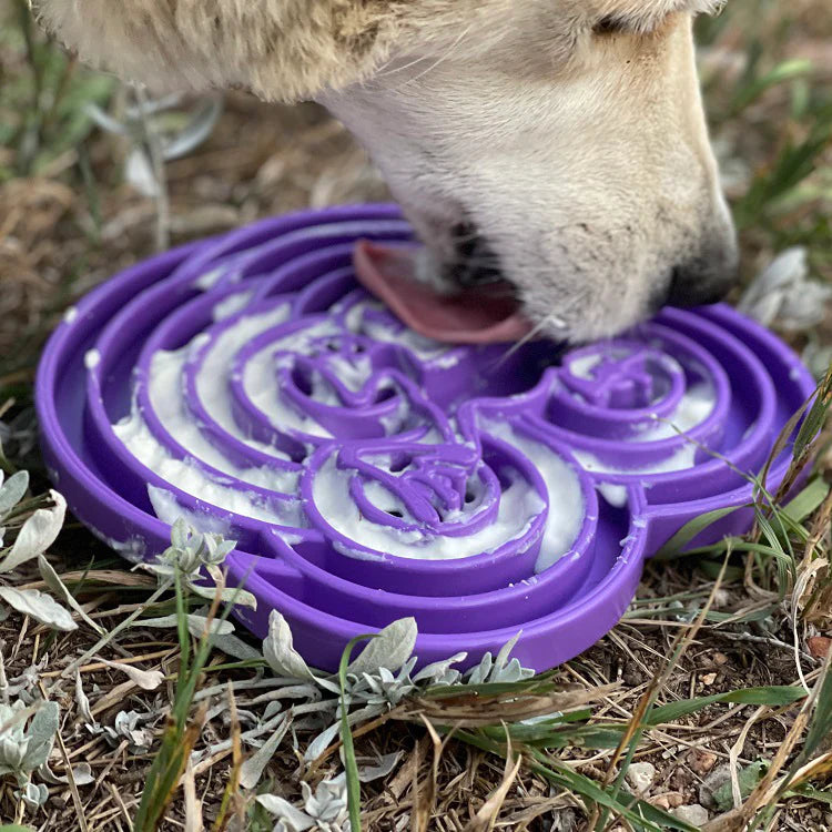 SNACKING-TRAY-FROGS-PURPLE