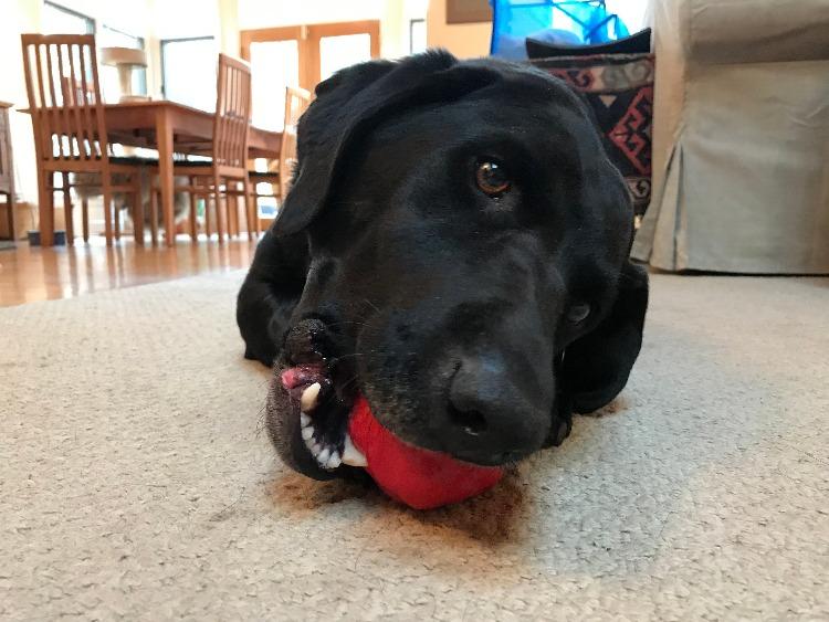 SODAPUP ASTEROID CHEW TOY RED