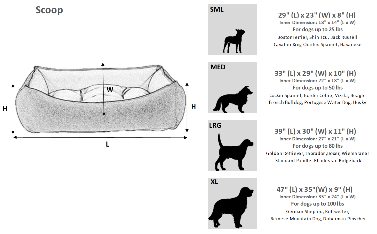 Scoop_Size_Chart_PNG