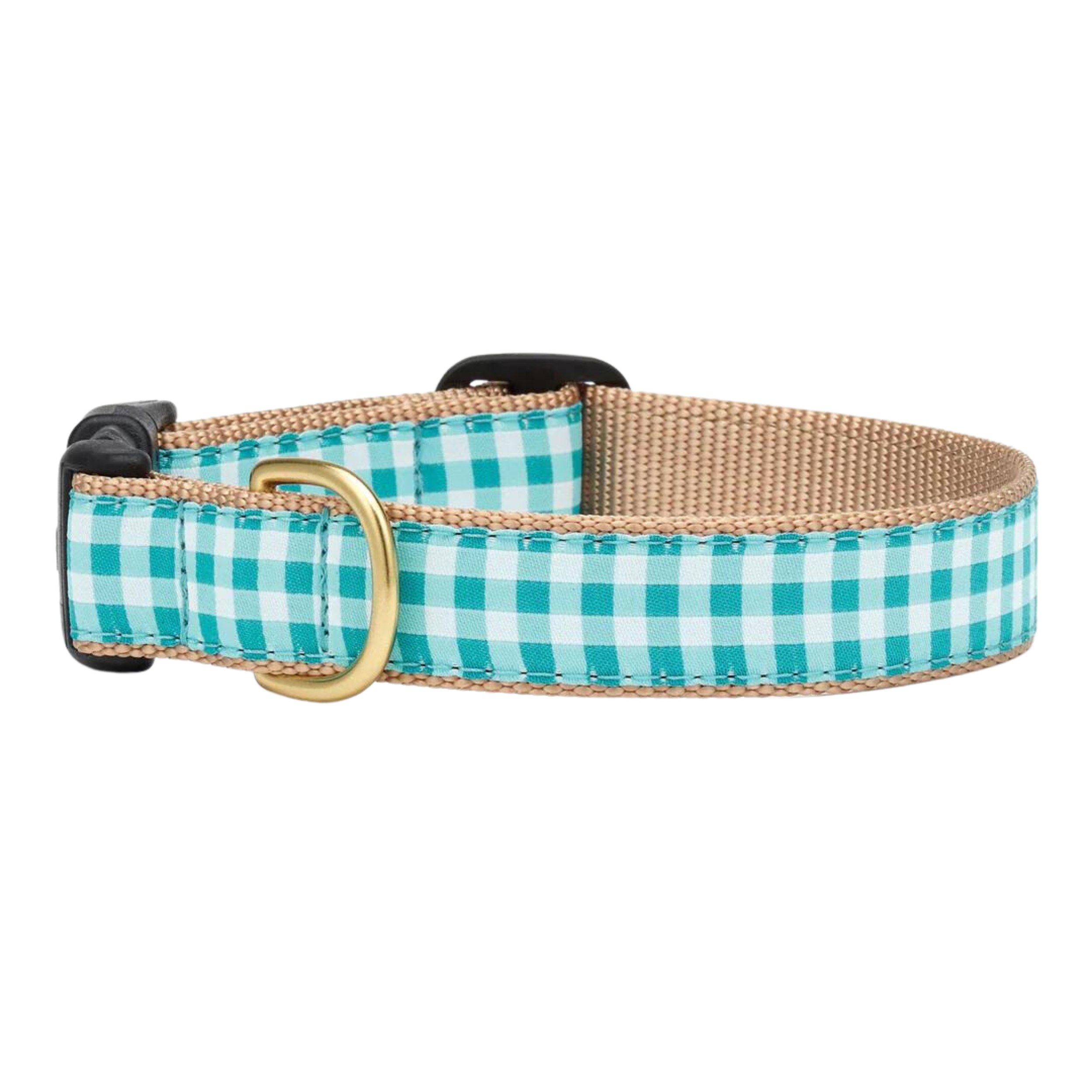 TURQUOISE-DOG-COLLAR