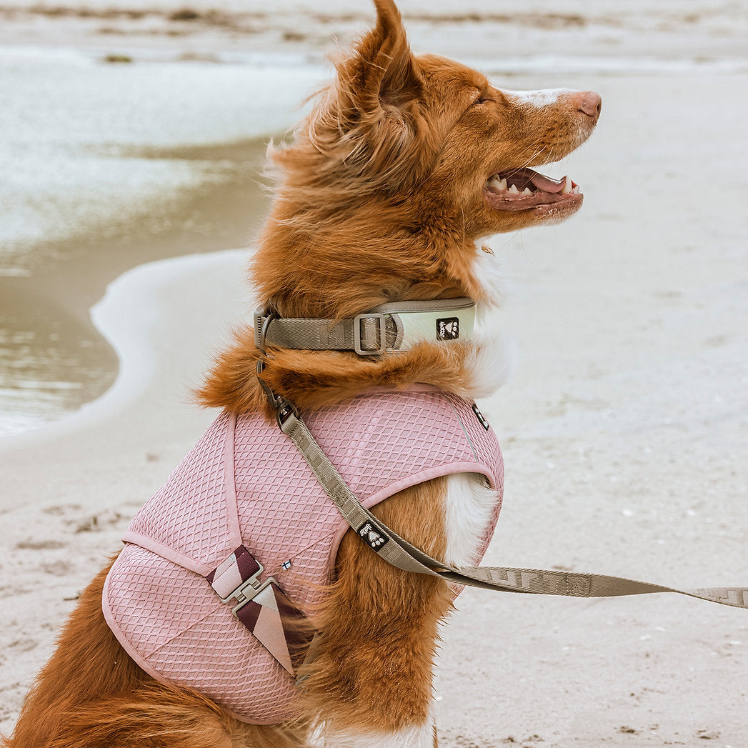 cooling-wrap-dogs-turmeric
