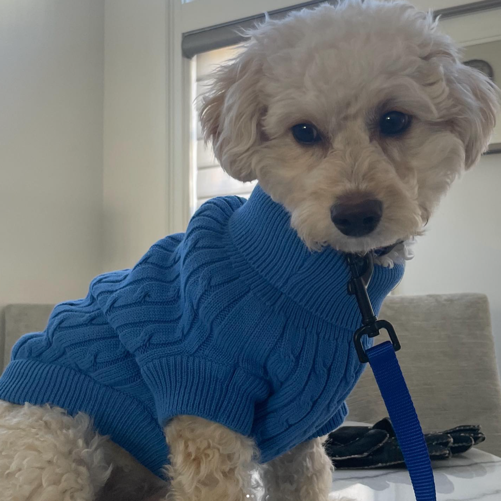 Sweater | Cable Knit