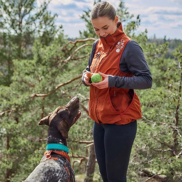 dog-training-vest-jacket-blackberry