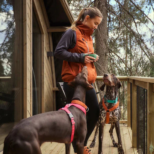 dog-training-vest-jacket-cinnamon