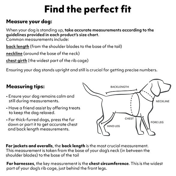 ECO Raincoat | Monsoon