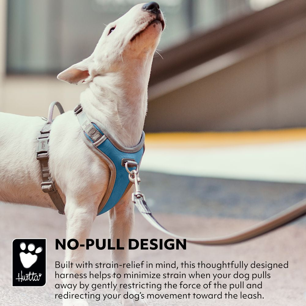 eco-venture-no-pull-dog-harness-buckthorn