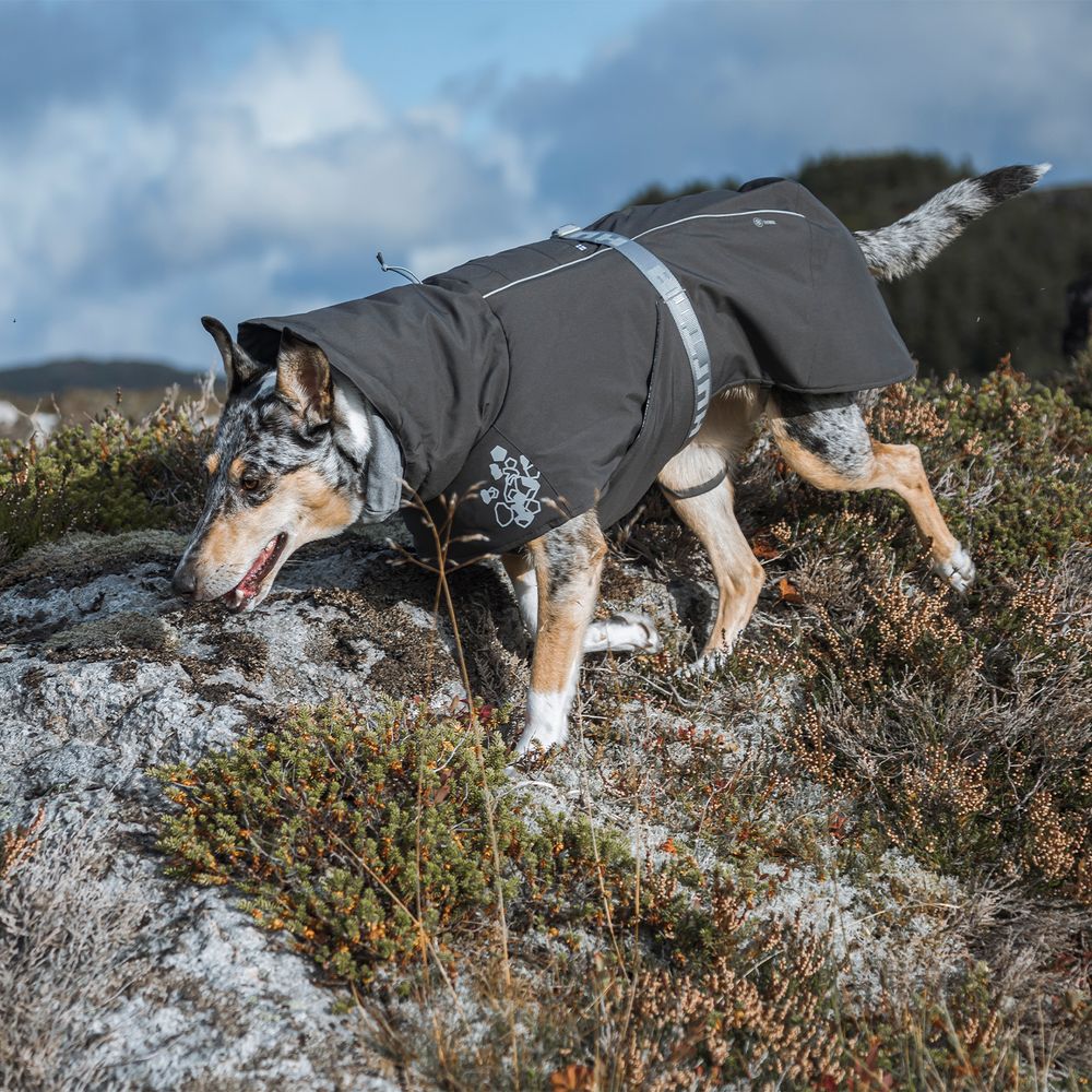 extreme-warmer-dog-coat-blackberry