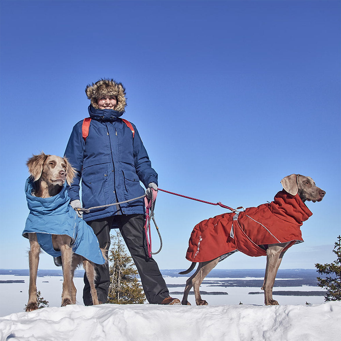 extreme-warmer-extreme-weather-dog-coat