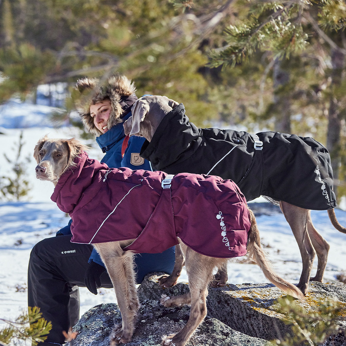 extreme-warmer-extreme-weather-dog-coat