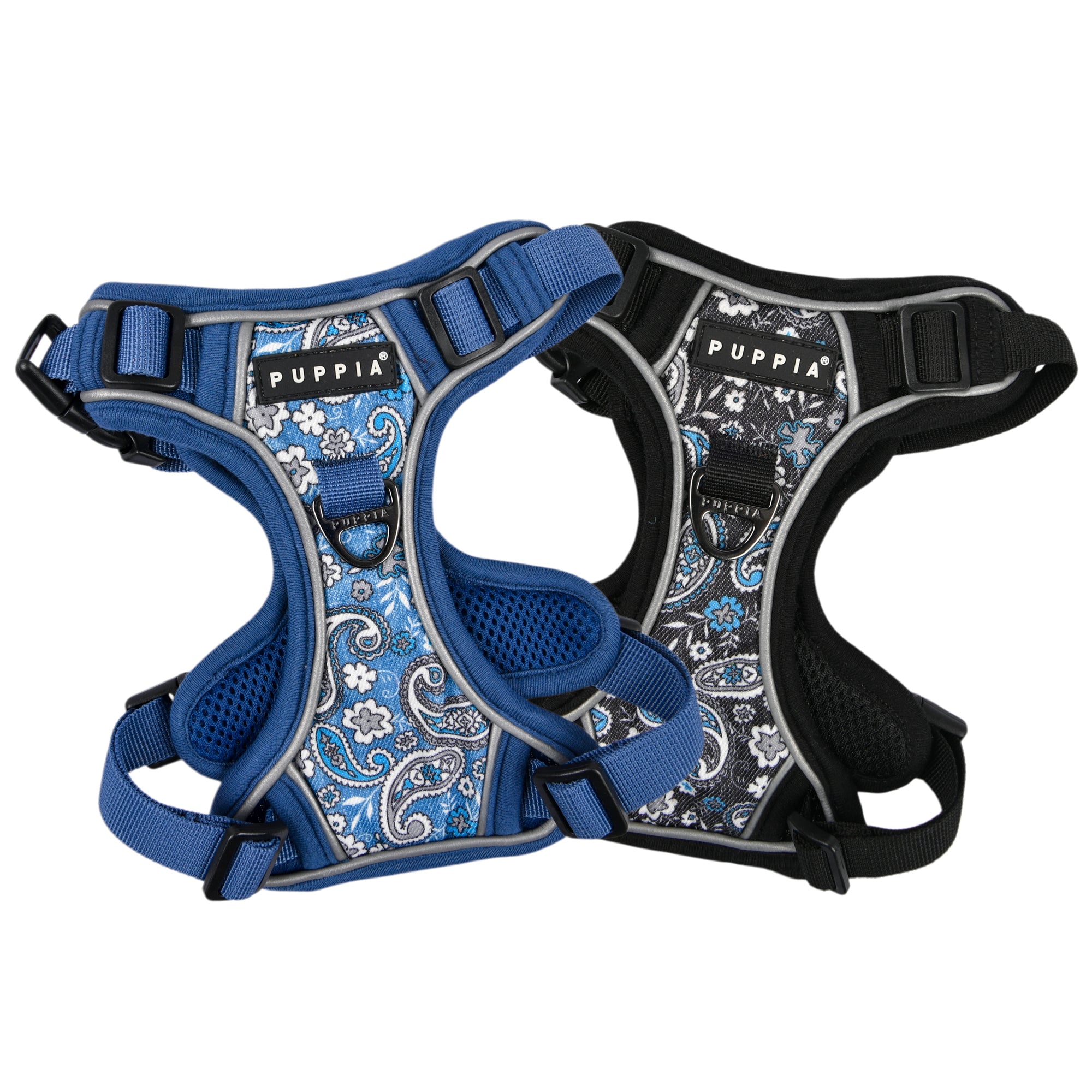 Front-Hook No-Pull Harness | Cynthia Paisley