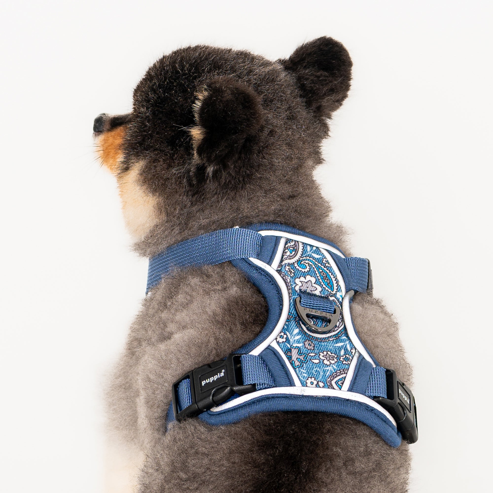front-hook-dog-harness-cynthia-blue