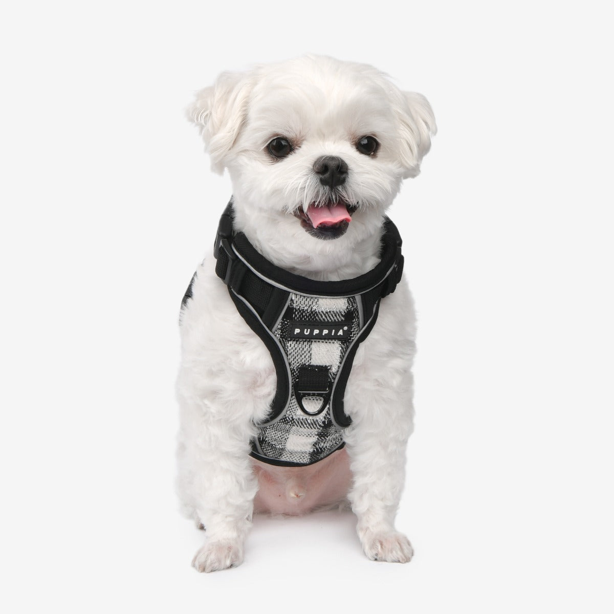 front-hook-dog-harness-garrett-black-plaid-check