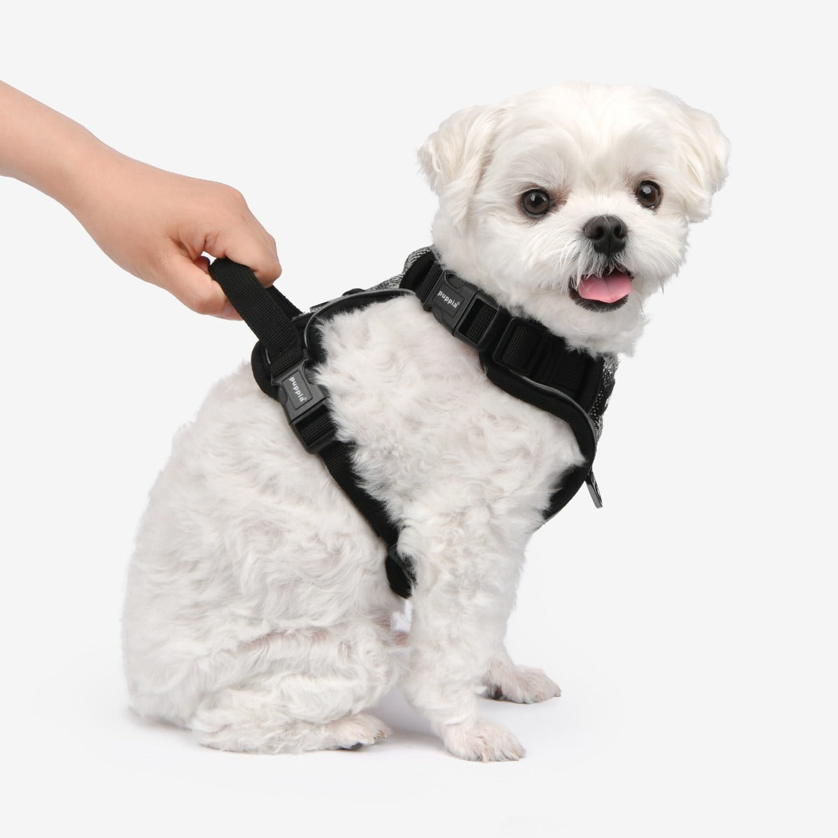 front-hook-dog-harness-garrett-black-plaid-check