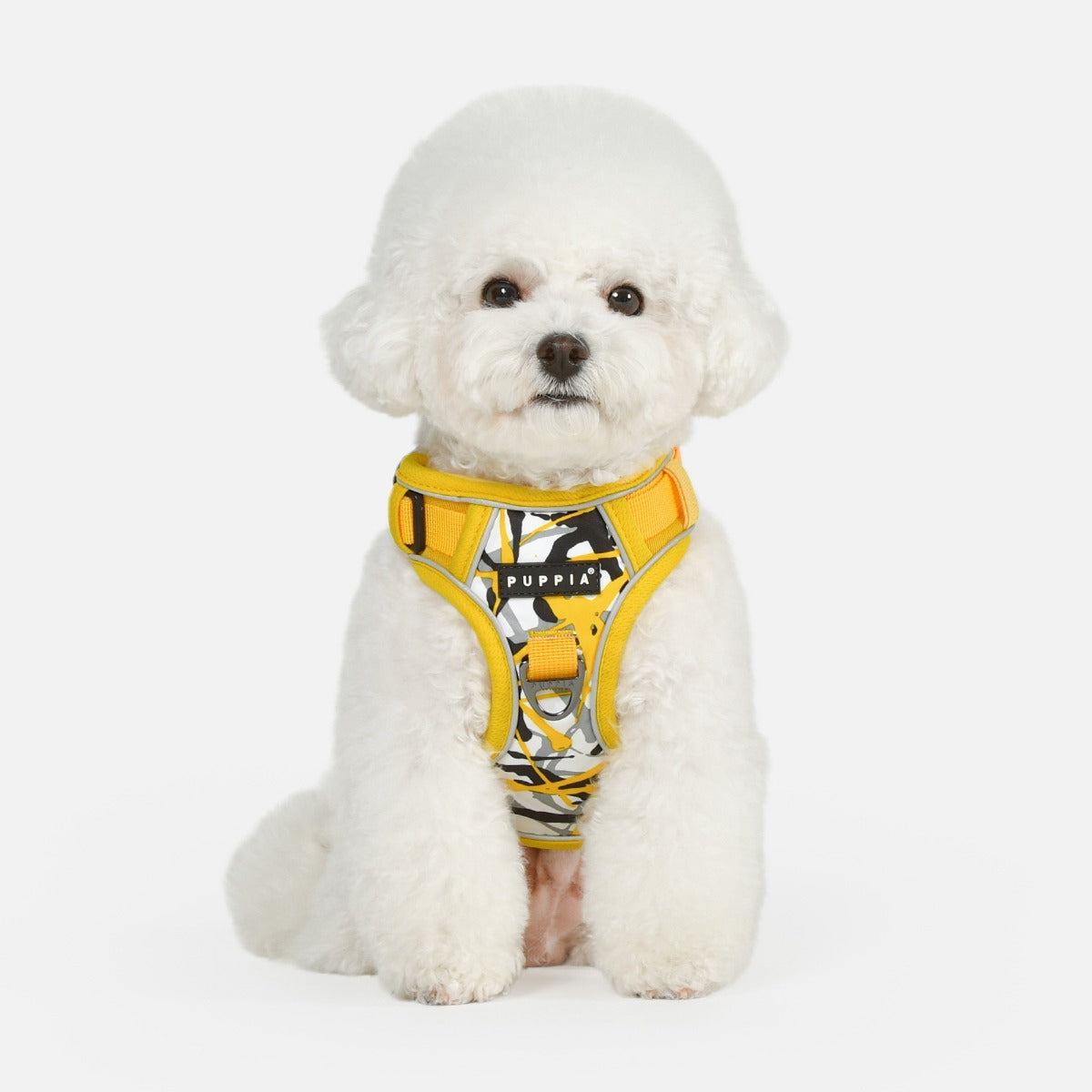 front-hook-dog-harness-jackson-splatter-yellow