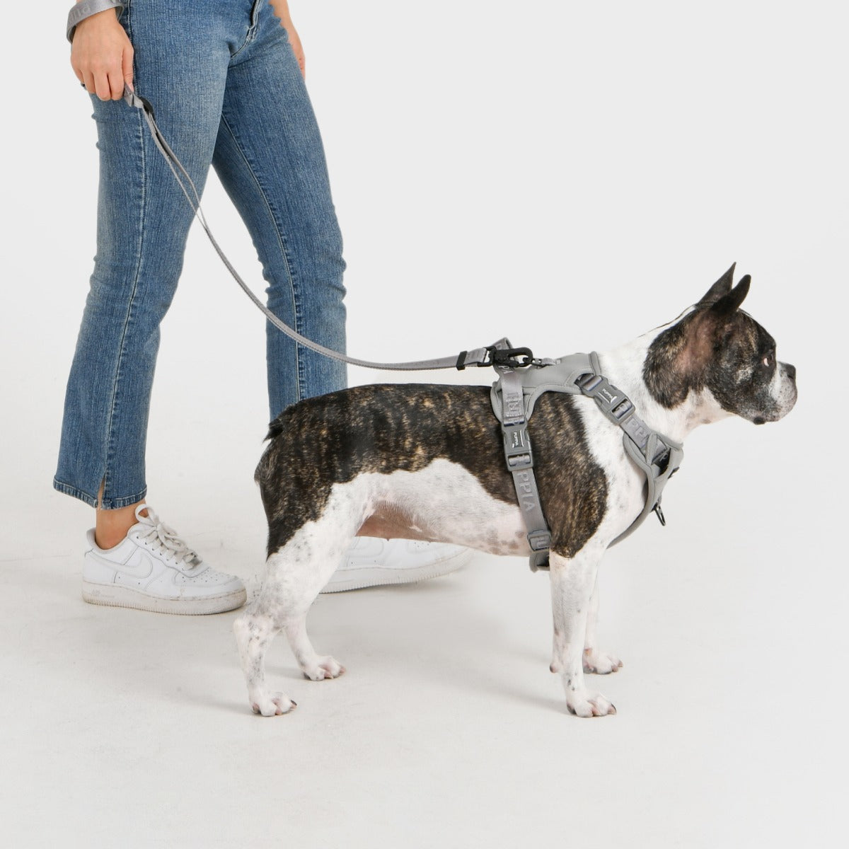 front-hook-dog-harness-jarek-gray
