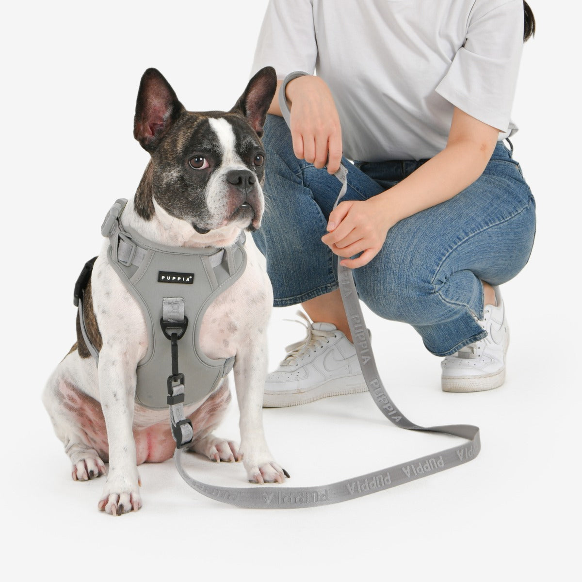 front-hook-dog-harness-jarek-black