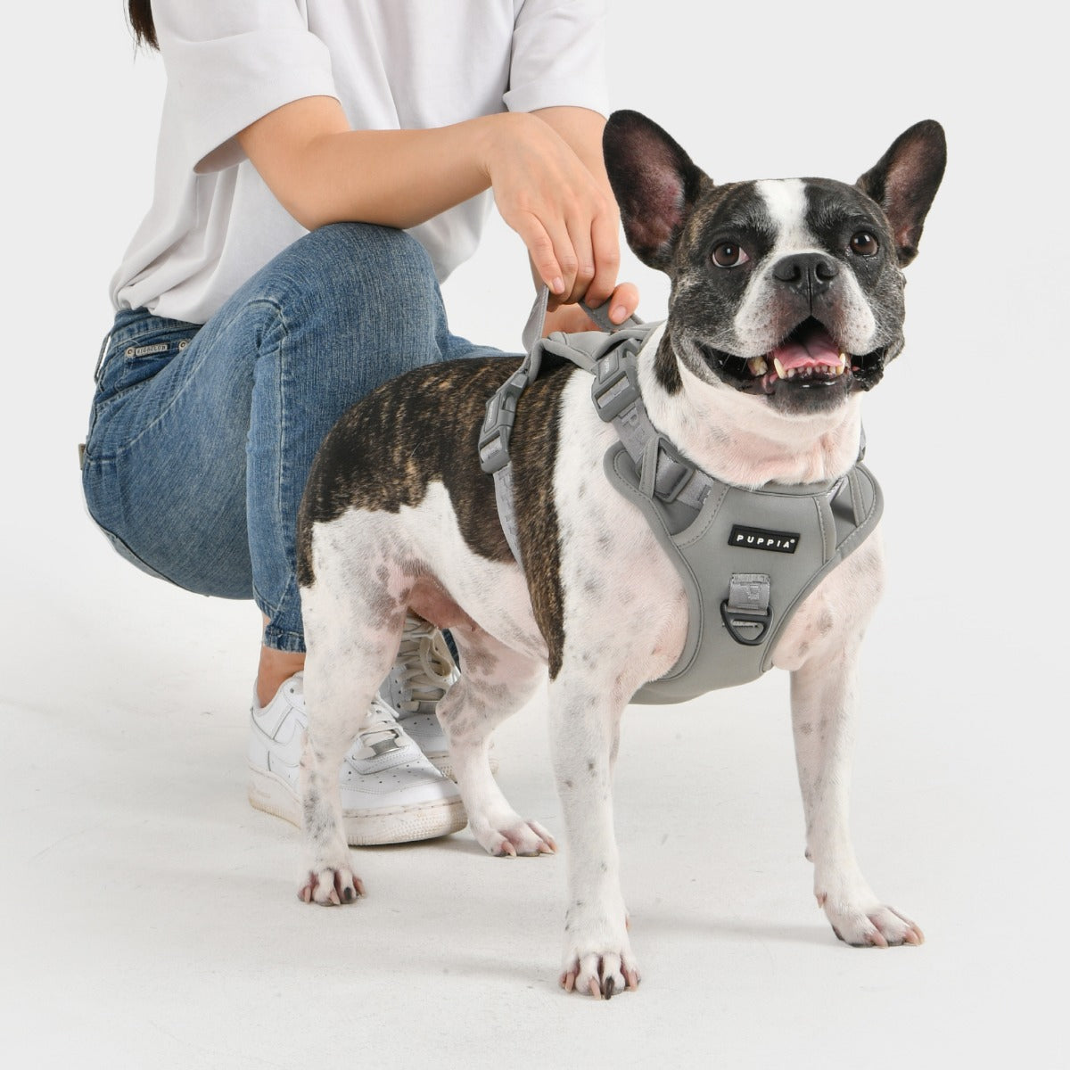front-hook-dog-harness-jarek-gray