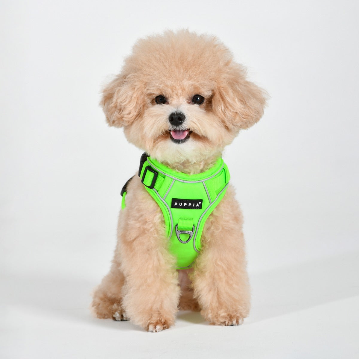 Front-Hook No-Pull Harness | Neon