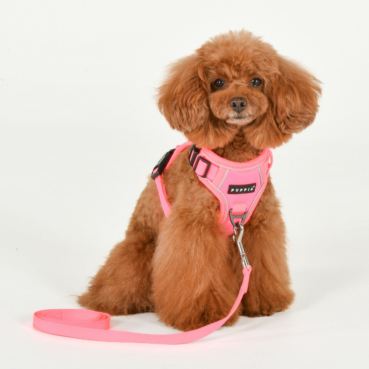 front-hook-dog-harness-neon-pink