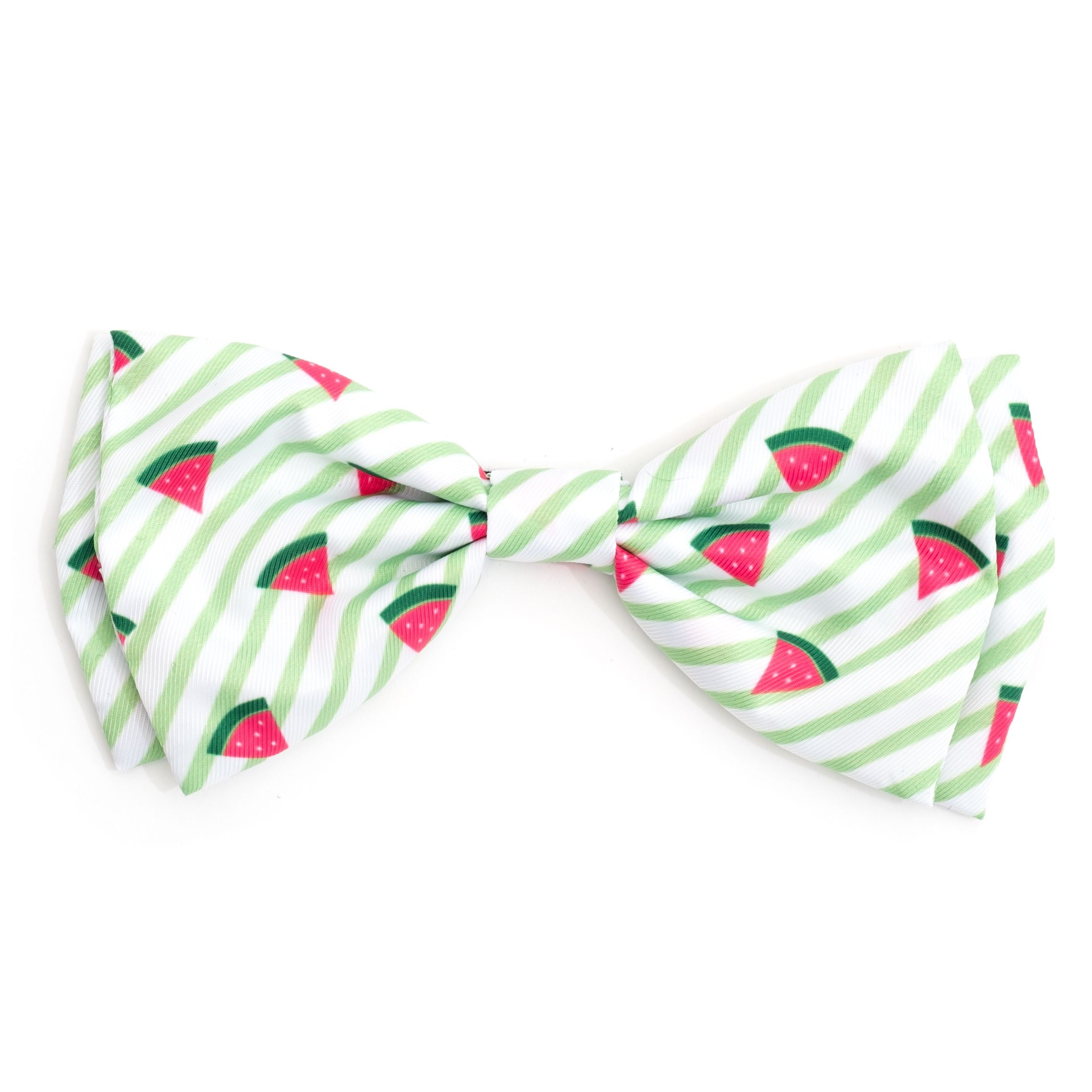 green-stripe-watermelon-dog-bow-tie