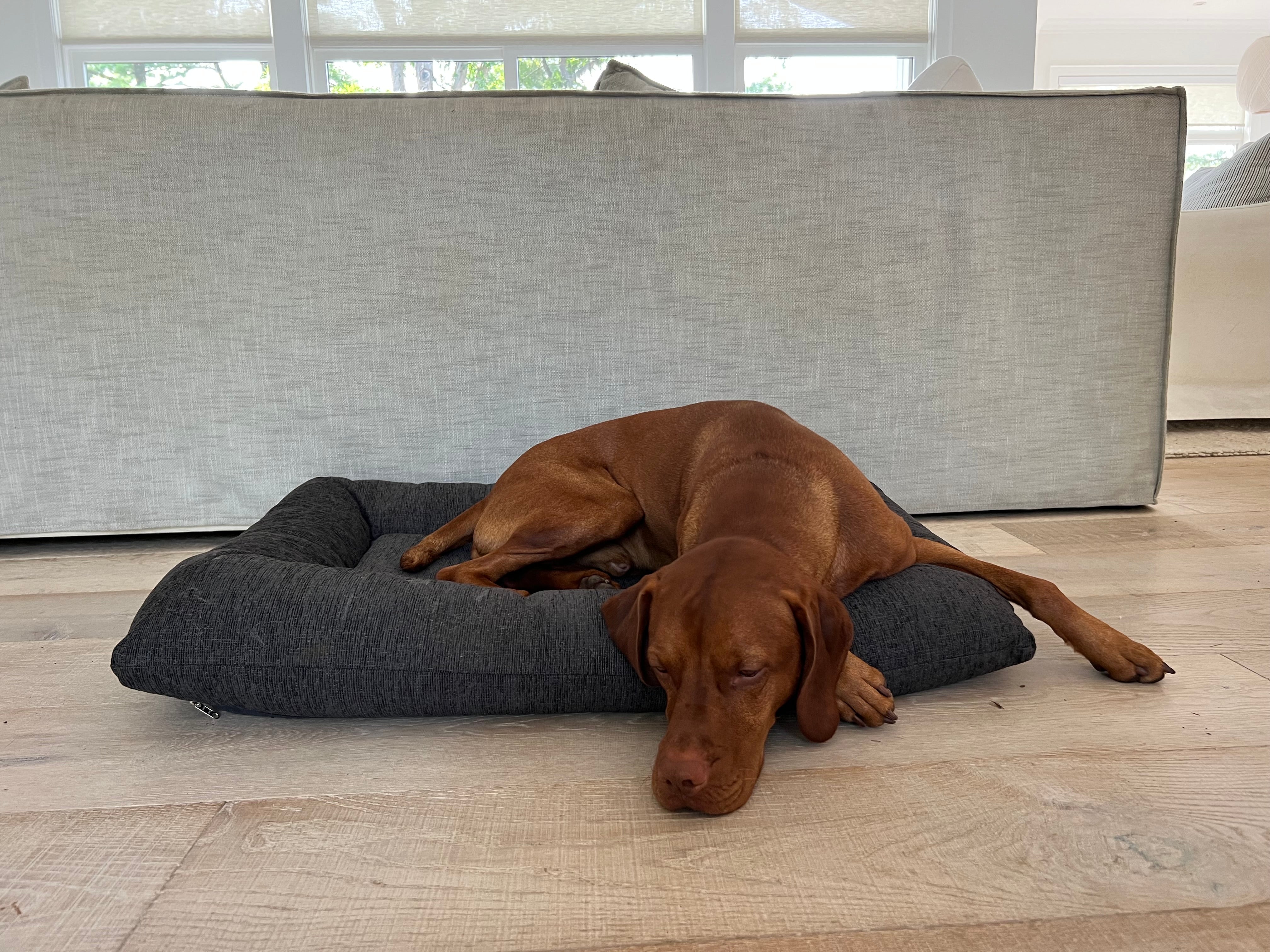 hugo-futon-dog-bed-charcoal