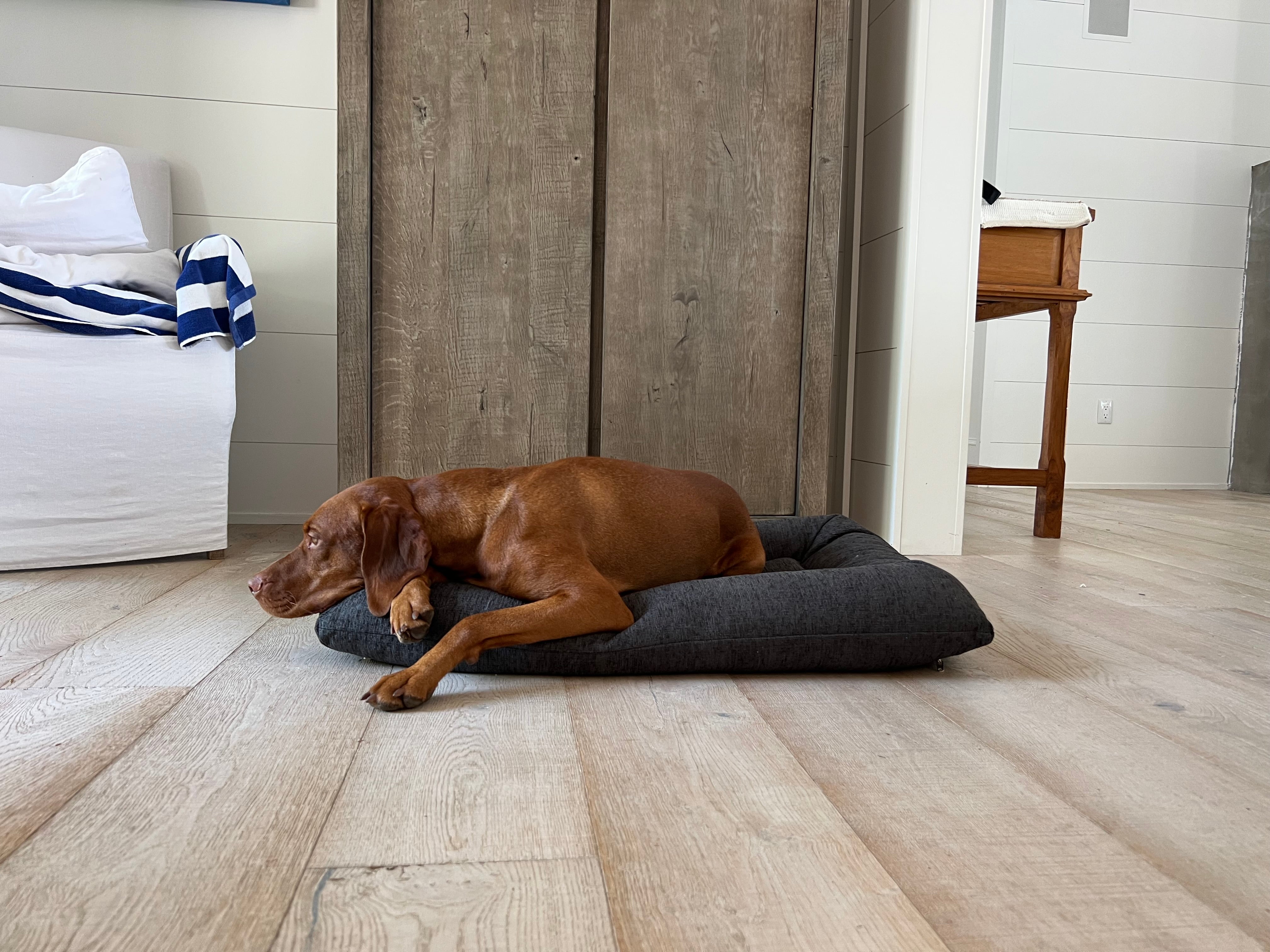 hugo-futon-dog-bed-charcoal