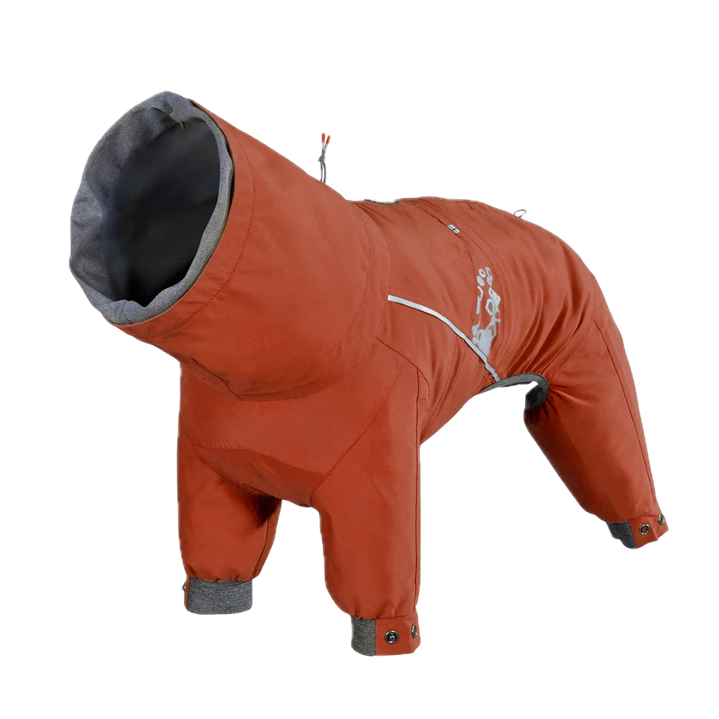 Orange dog coat with gray hood on a white background