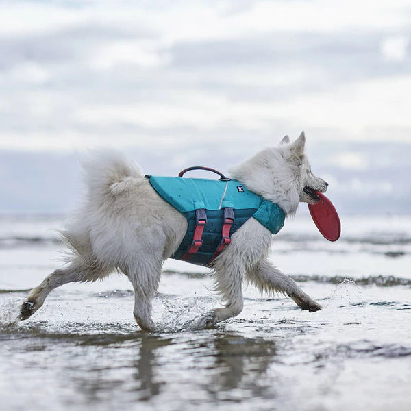 life-jacket-vest-dogs-buckthorn