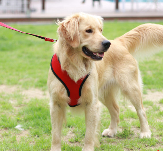 mesh-soft-dog-harness-red