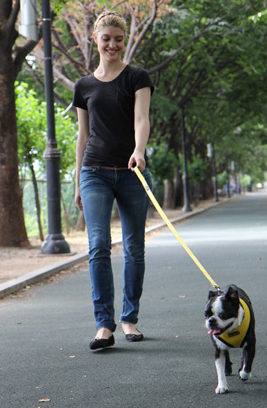 mesh-soft-dog-harness-yellow