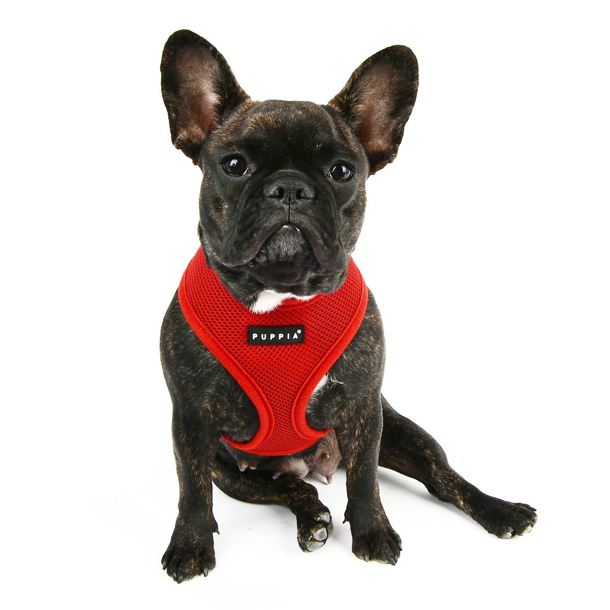 mesh-soft-dog-harness-wine