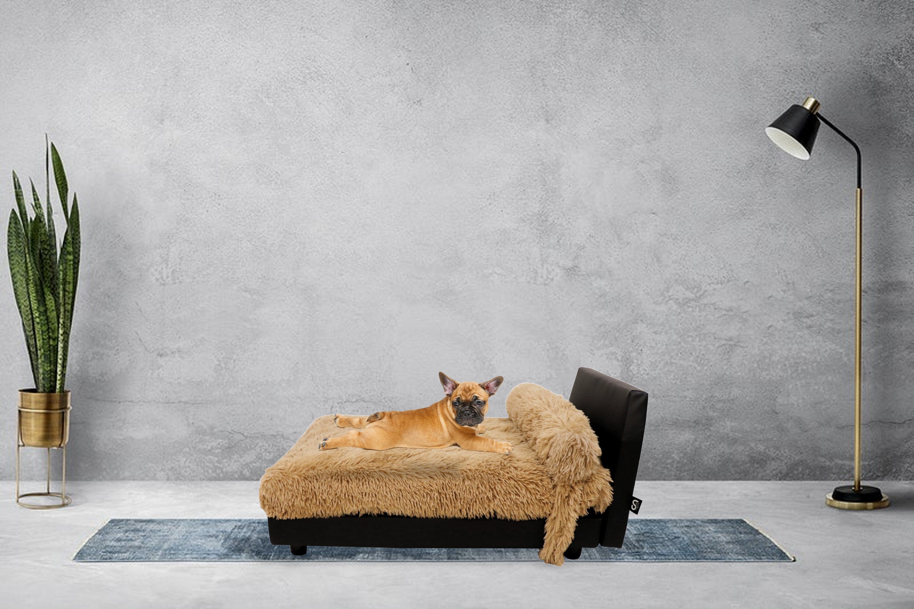 mid-century-raised-dog-bed-lido-fawn