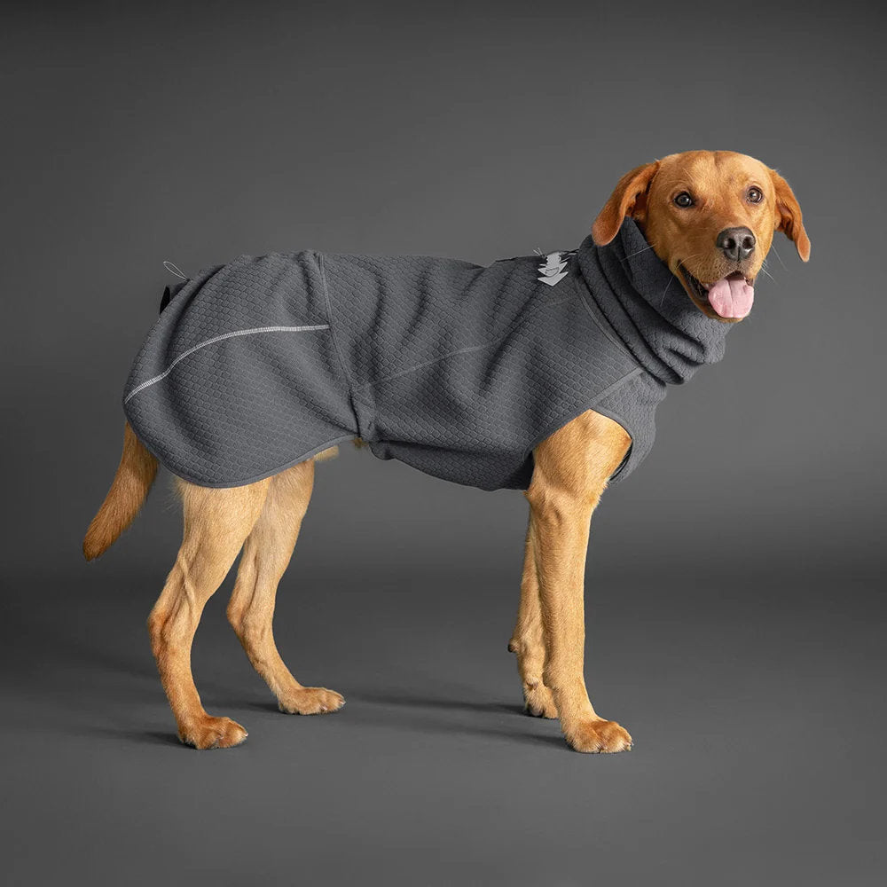Dog wearing a gray fleece coat on a dark background