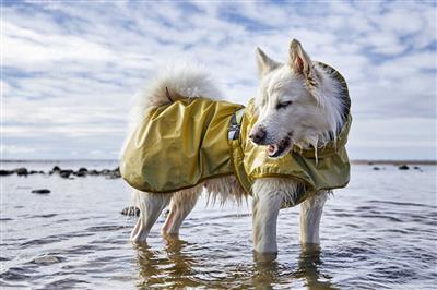 mudventure-reflective-dog-coat-turmeric